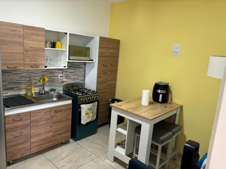Coffee/tea facilities, Kitchen or kitchenette, minibar, oven, stove, toaster
