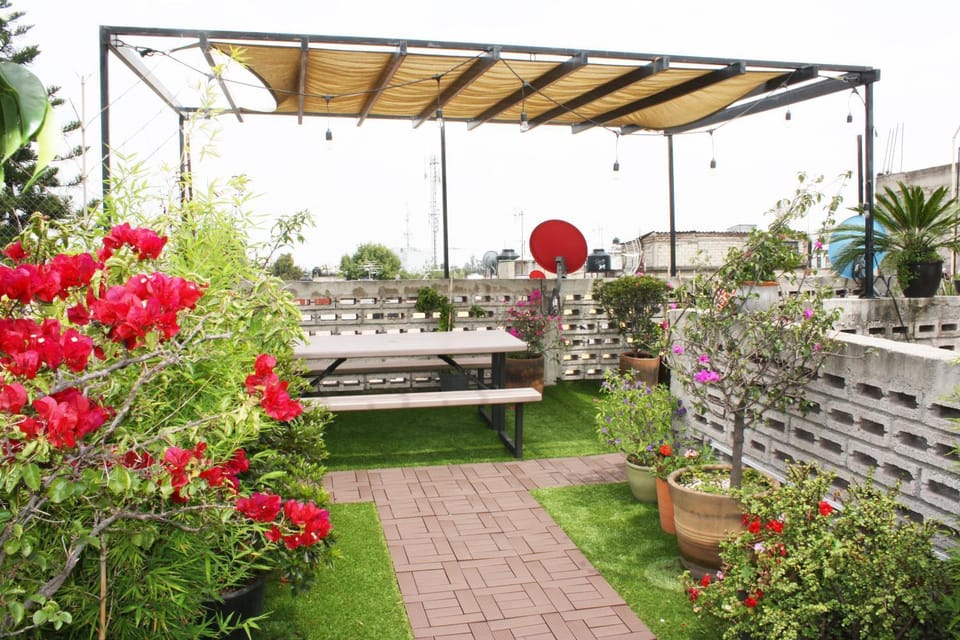 Patio, Day, Garden, Seating area, Garden view