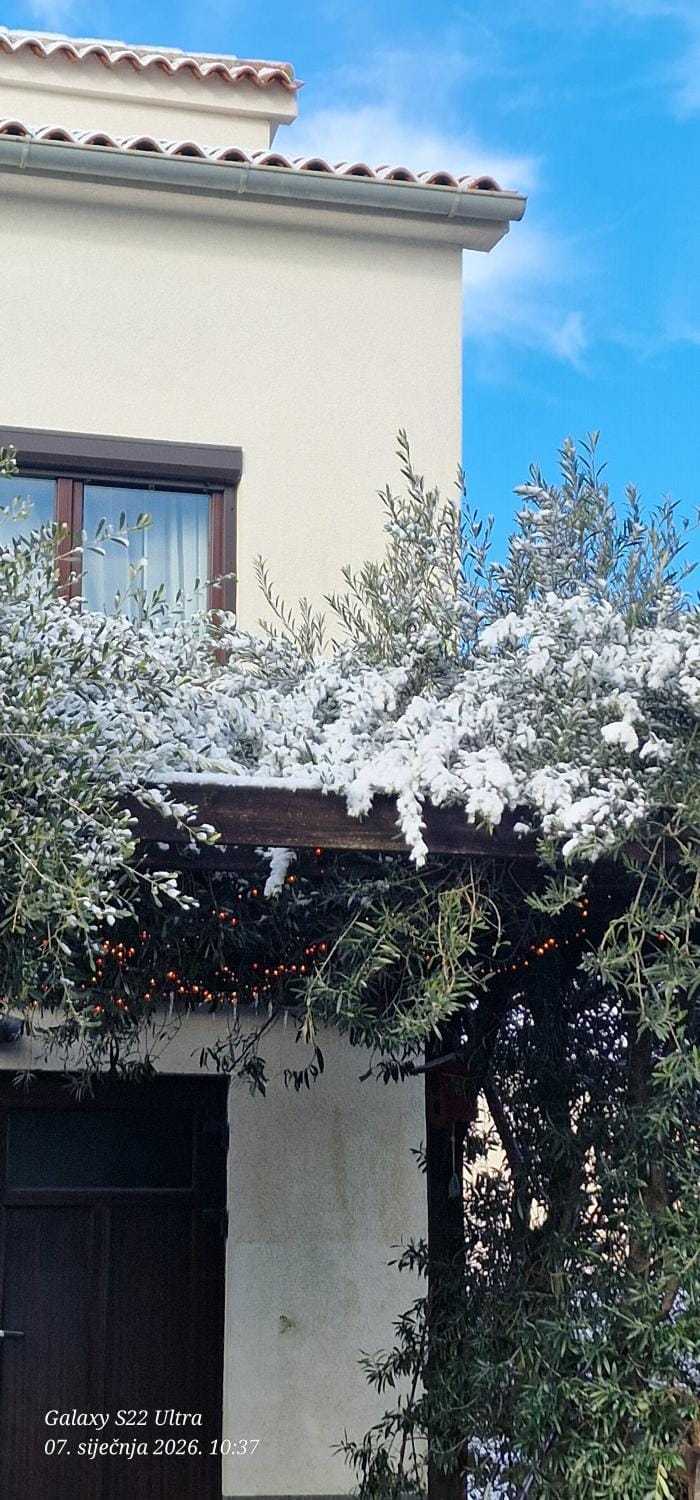 Apartments Barac Apartment in Poreč