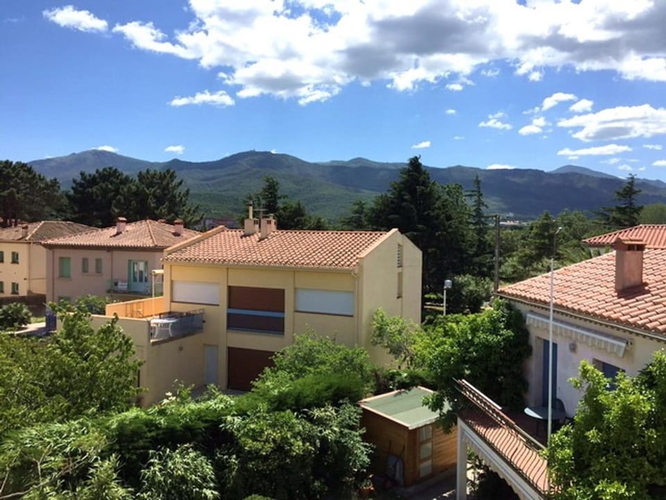 Appartement 2 Pièces 4 Pers, Proche Plage, Animaux Acceptés - FR-1-776-30 Apartment in Argeles-sur-Mer
