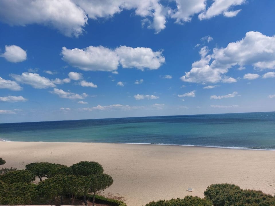 Appartement 2 pièces moderne pour 4 pers avec terrasse proche plage et commerces à Argelès-sur-Mer - FR-1-776-43 Apartment in Argeles-sur-Mer