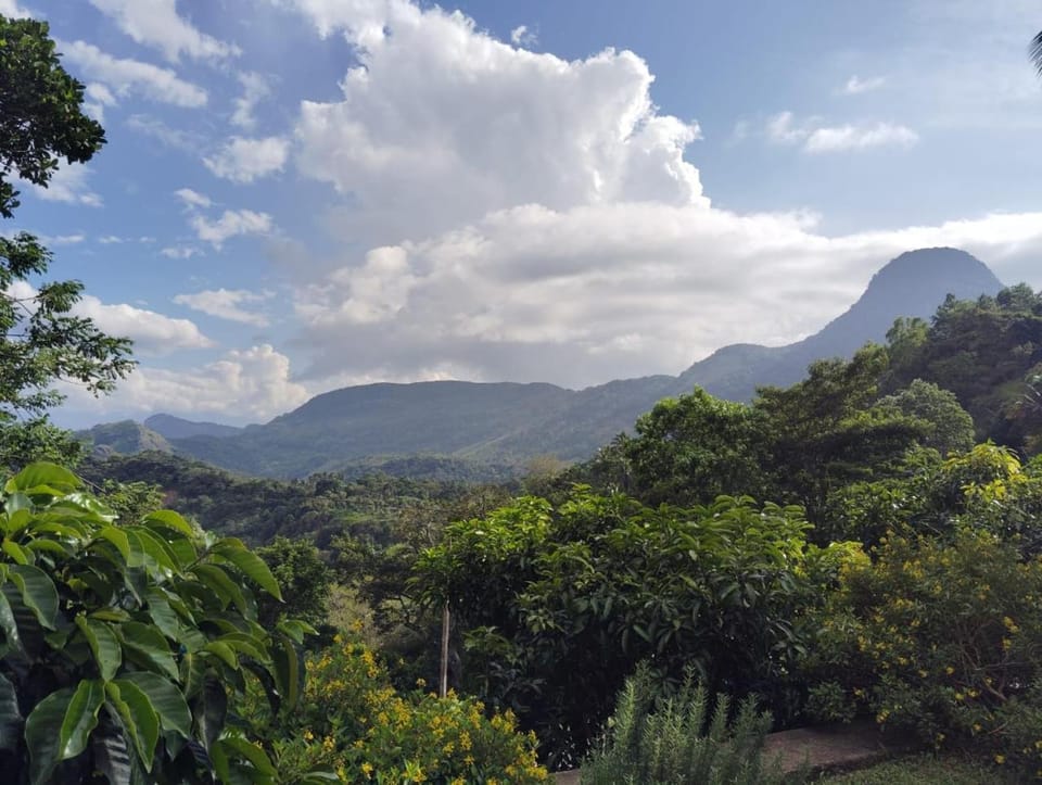 Mountain view
