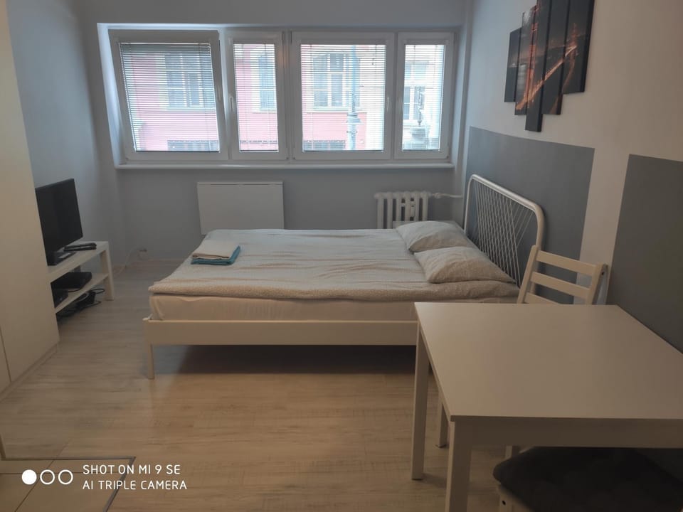 Bed, TV and multimedia, Photo of the whole room, hair dresser