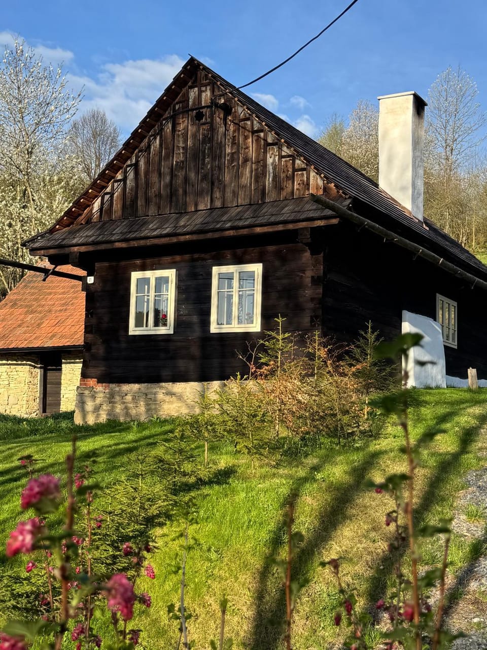 Spring, Day, Garden
