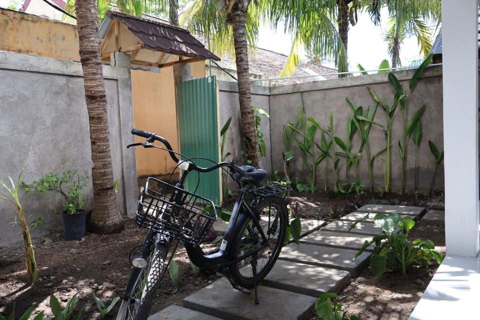 Garden, Cycling, Garden view