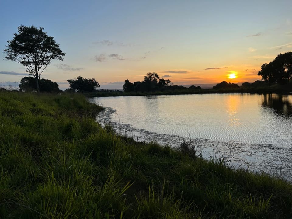Lake view