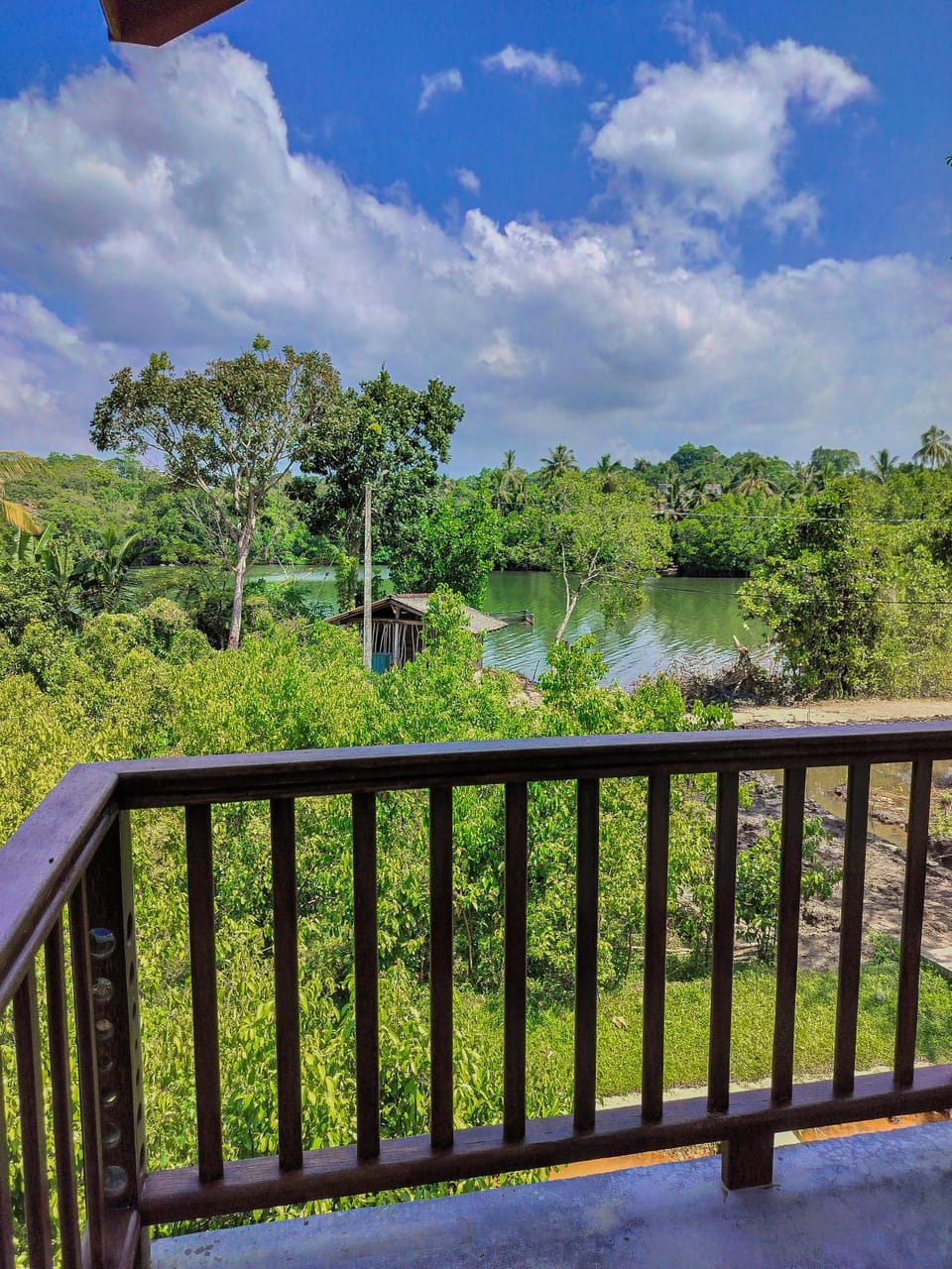 View (from property/room), River view