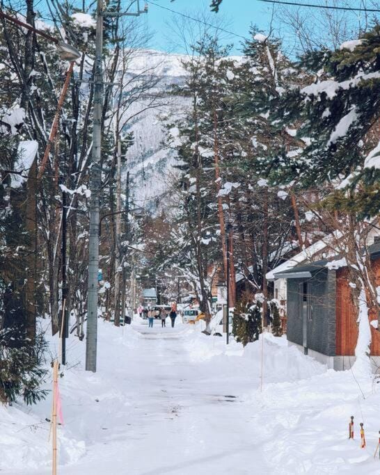 Winter