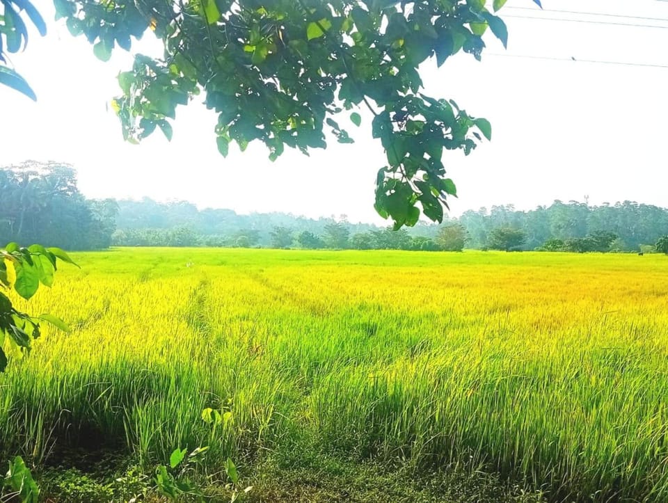Free Breeze Guest & Villa Bed and Breakfast in Southern Province