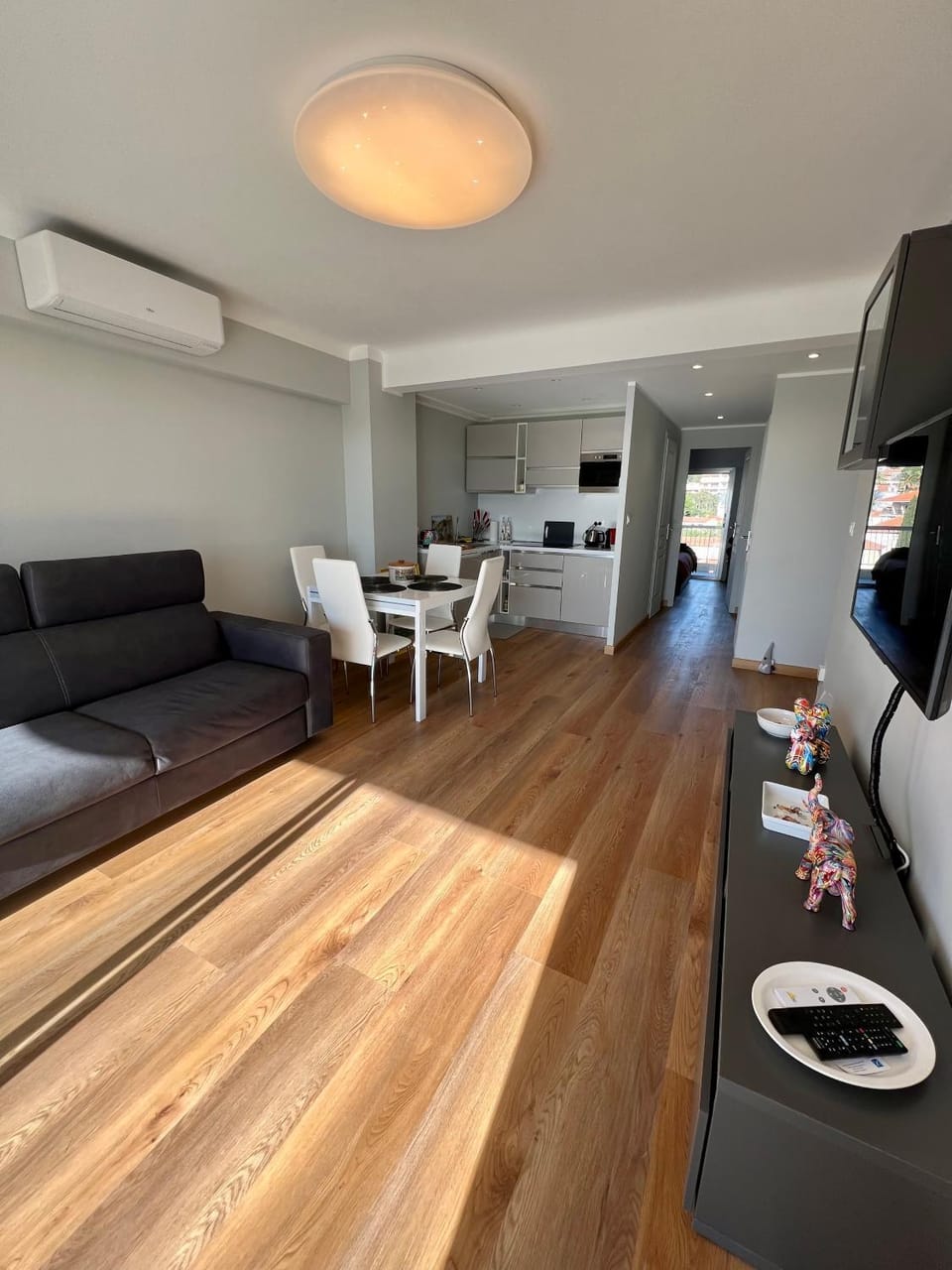 Living room, Dining area, air conditioner