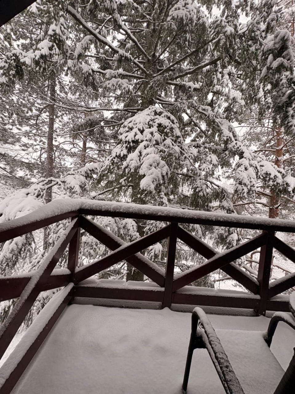 Apartman Bianca Apartment in Zlatibor