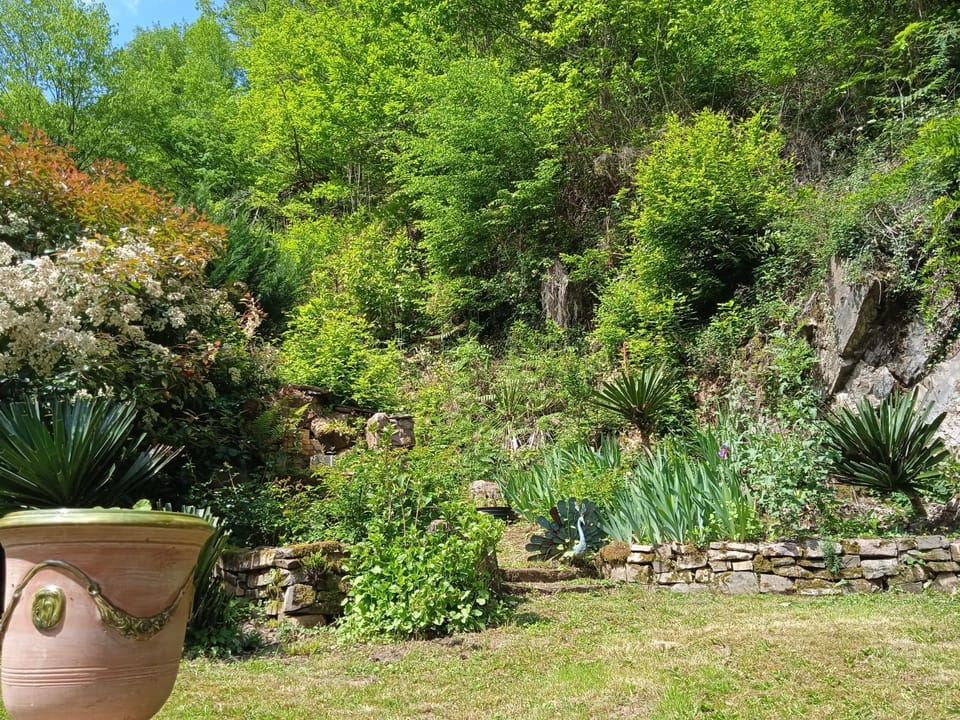 Garden view