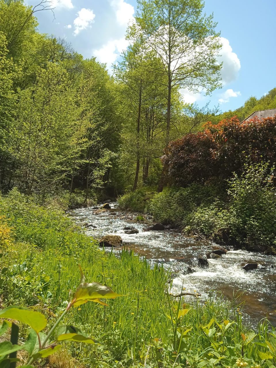 River view