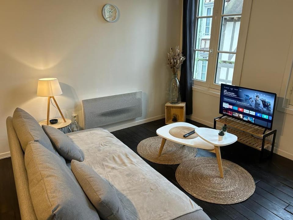 Le Jaillant - Wifi - Centre Ville historique - Proche Gare Apartment in Troyes