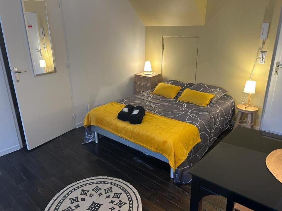 Le Jaillant - Wifi - Centre Ville historique - Proche Gare Apartment in Troyes