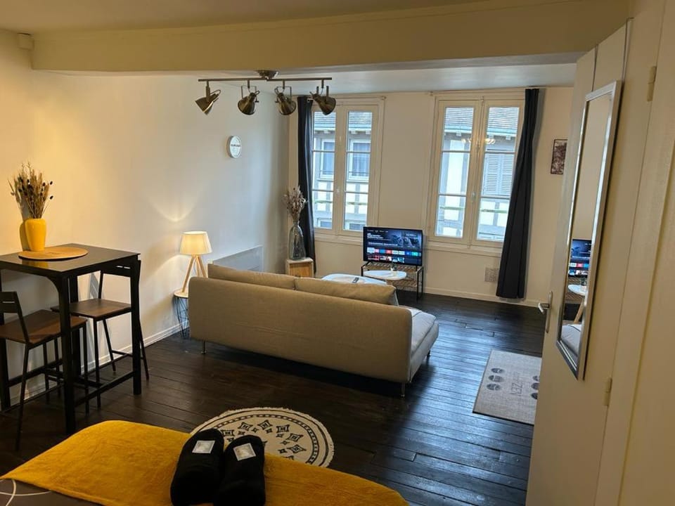 Le Jaillant - Wifi - Centre Ville historique - Proche Gare Apartment in Troyes