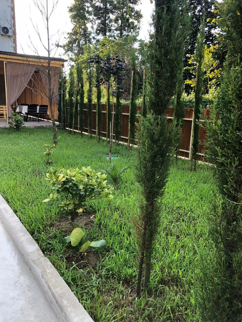 Natural landscape, Garden, Garden