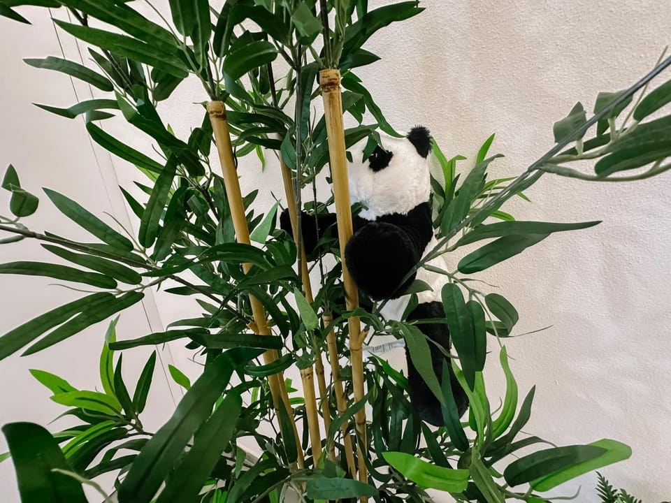 Decorative detail, Floor plan