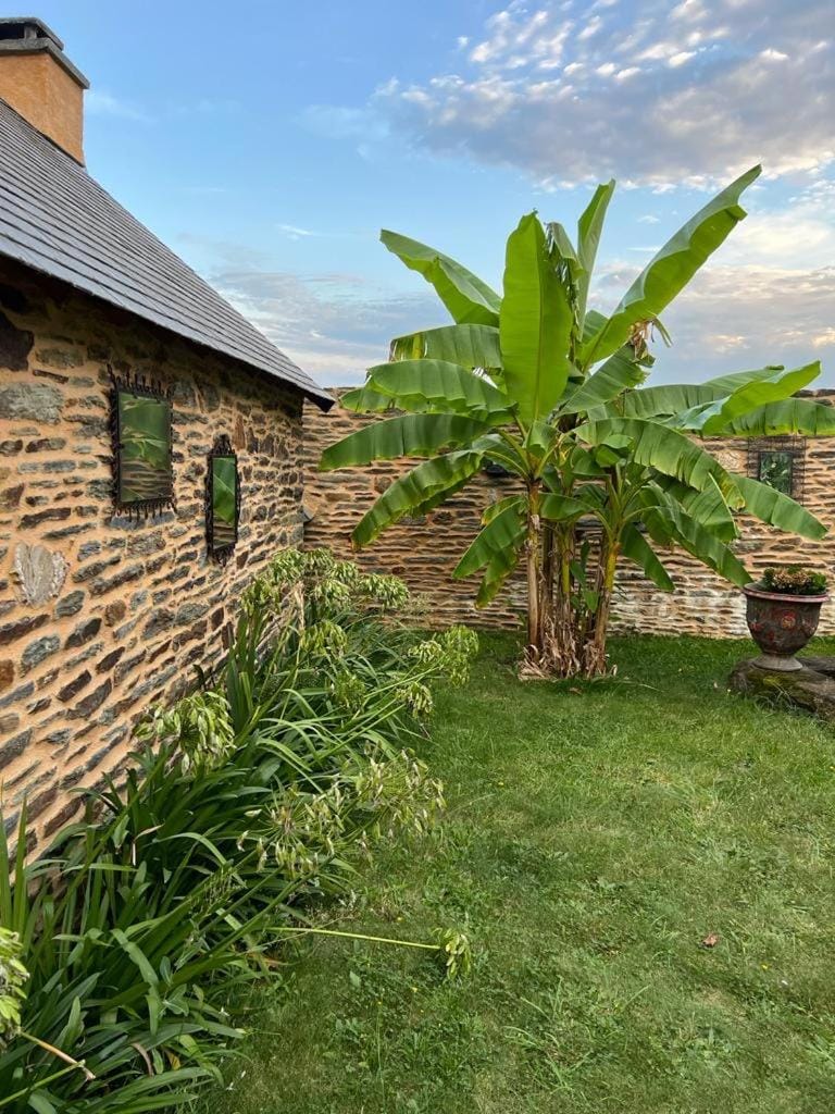 La petite seigneurie de Lourmel Bed and Breakfast in Brittany