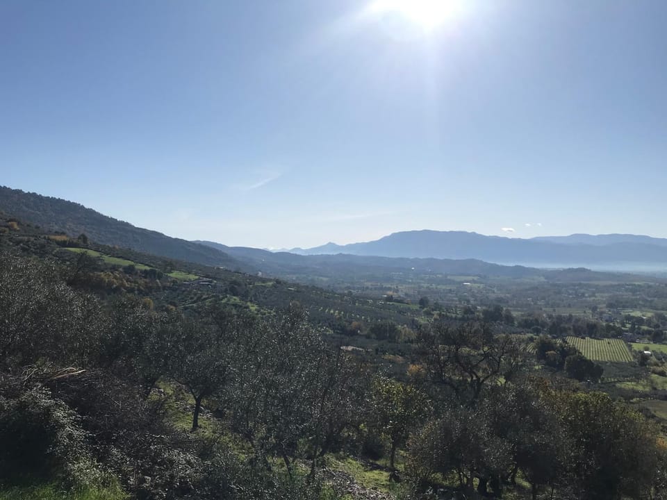 View (from property/room)