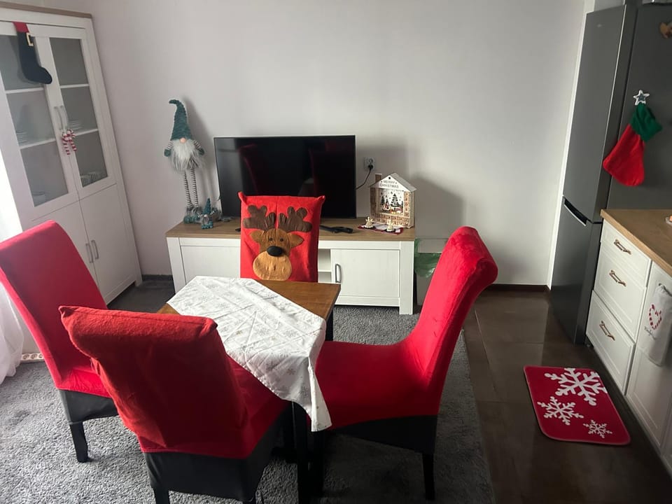 APARTAMENT przy Parku Radziwiłła Apartment in Masovian Voivodeship