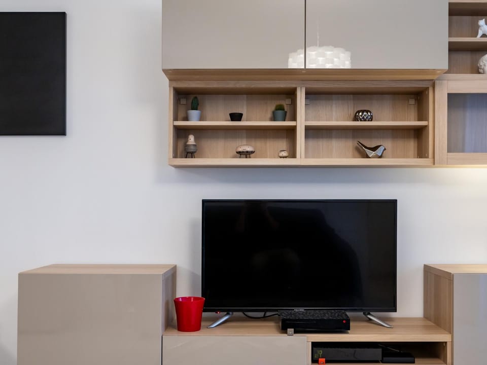 TV and multimedia