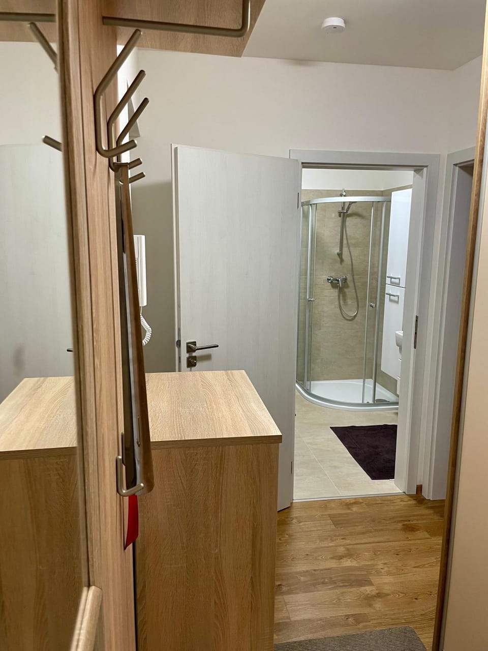 Bathroom, wardrobe