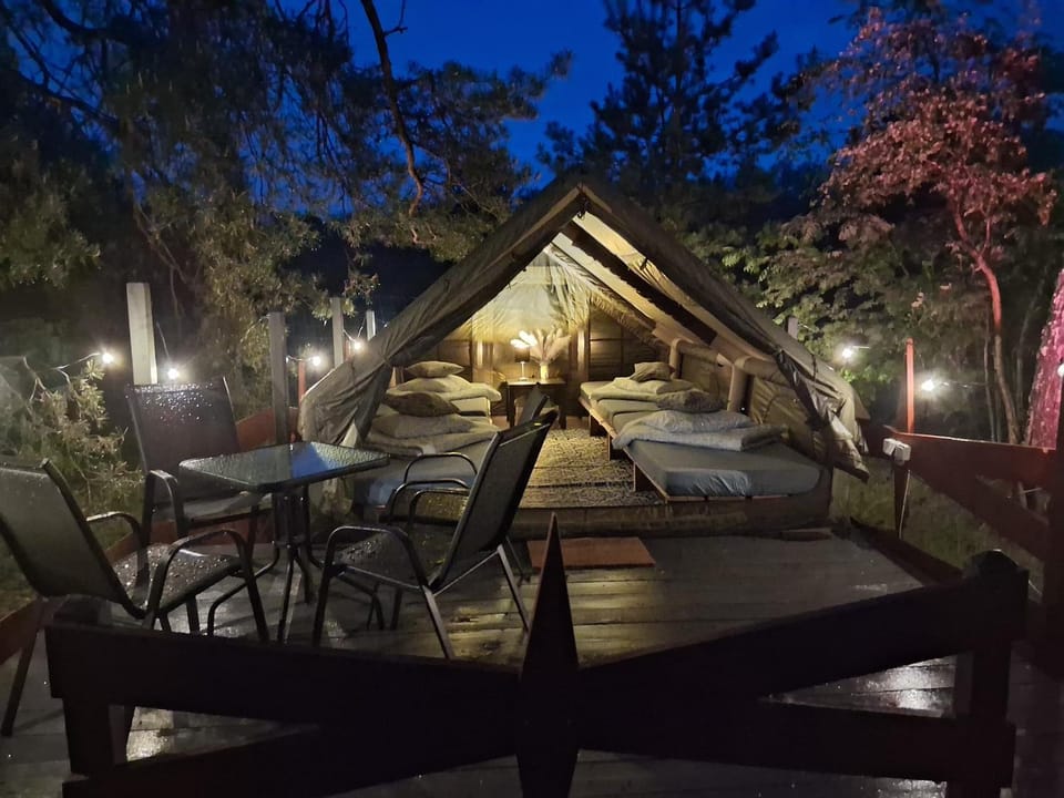 Patio, Night, Garden