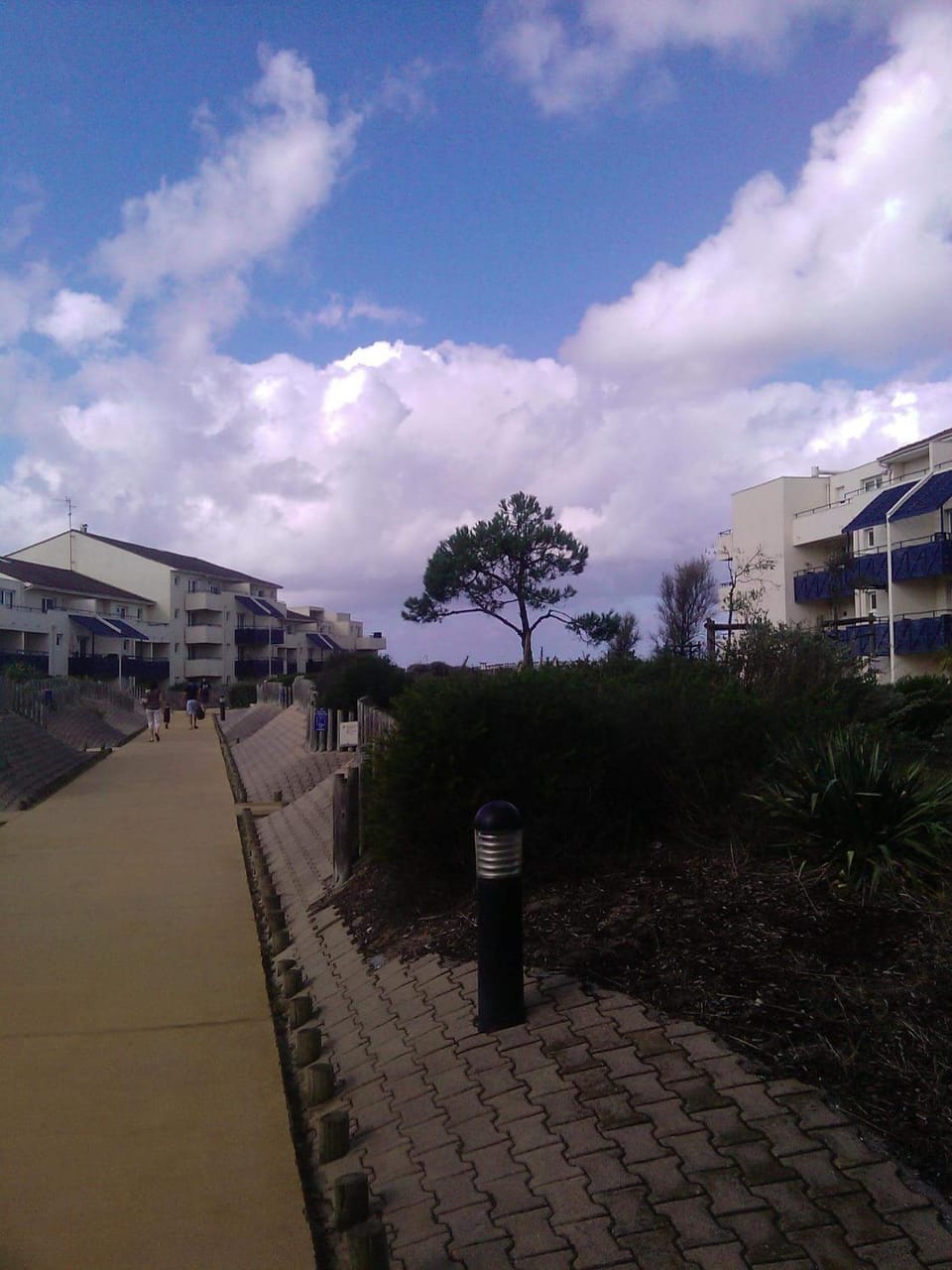 Property building, Garden view