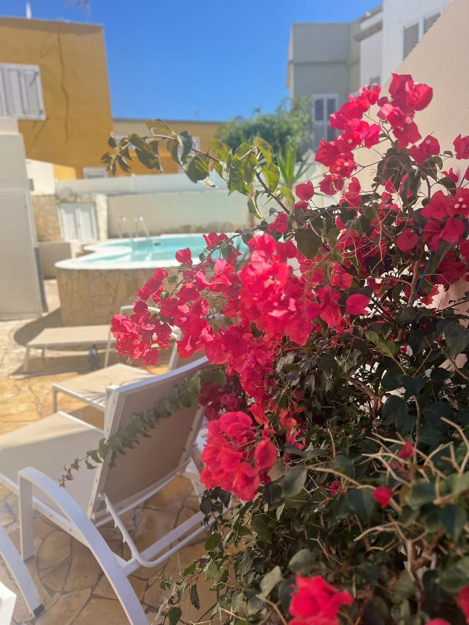 Patio, Spring, Day, Pool view, Swimming pool, sunbed