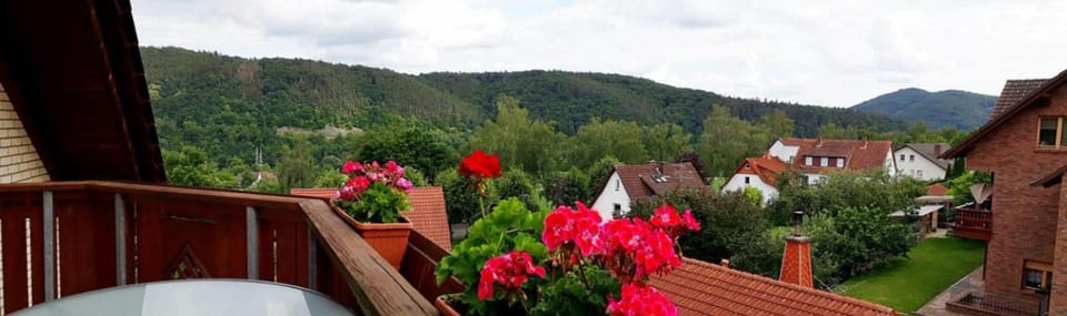 Spring, Day, Natural landscape, Garden, Garden view, Mountain view