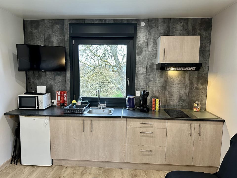 TV and multimedia, Coffee/tea facilities, Kitchen or kitchenette, minibar, stove