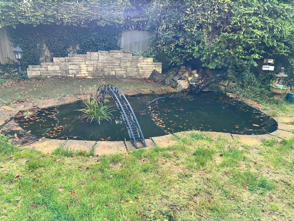 Garden, Garden view, Lake view