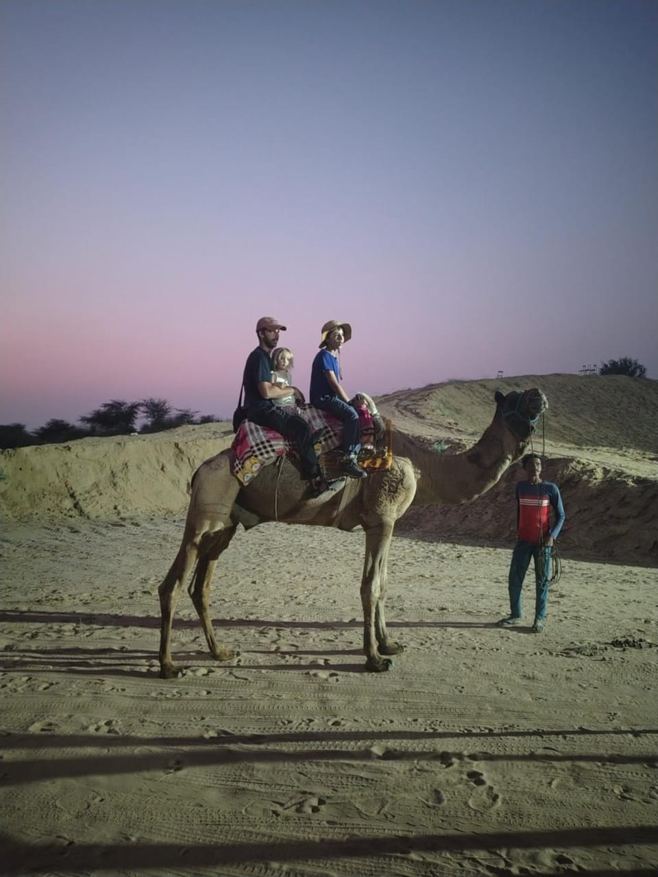 People, Natural landscape, Horse-riding, Animals, children, group of guests