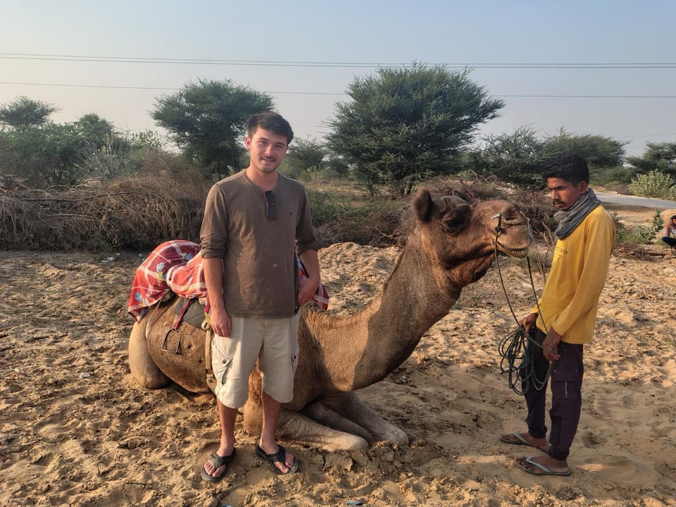 Day, People, Natural landscape, Animals, group of guests