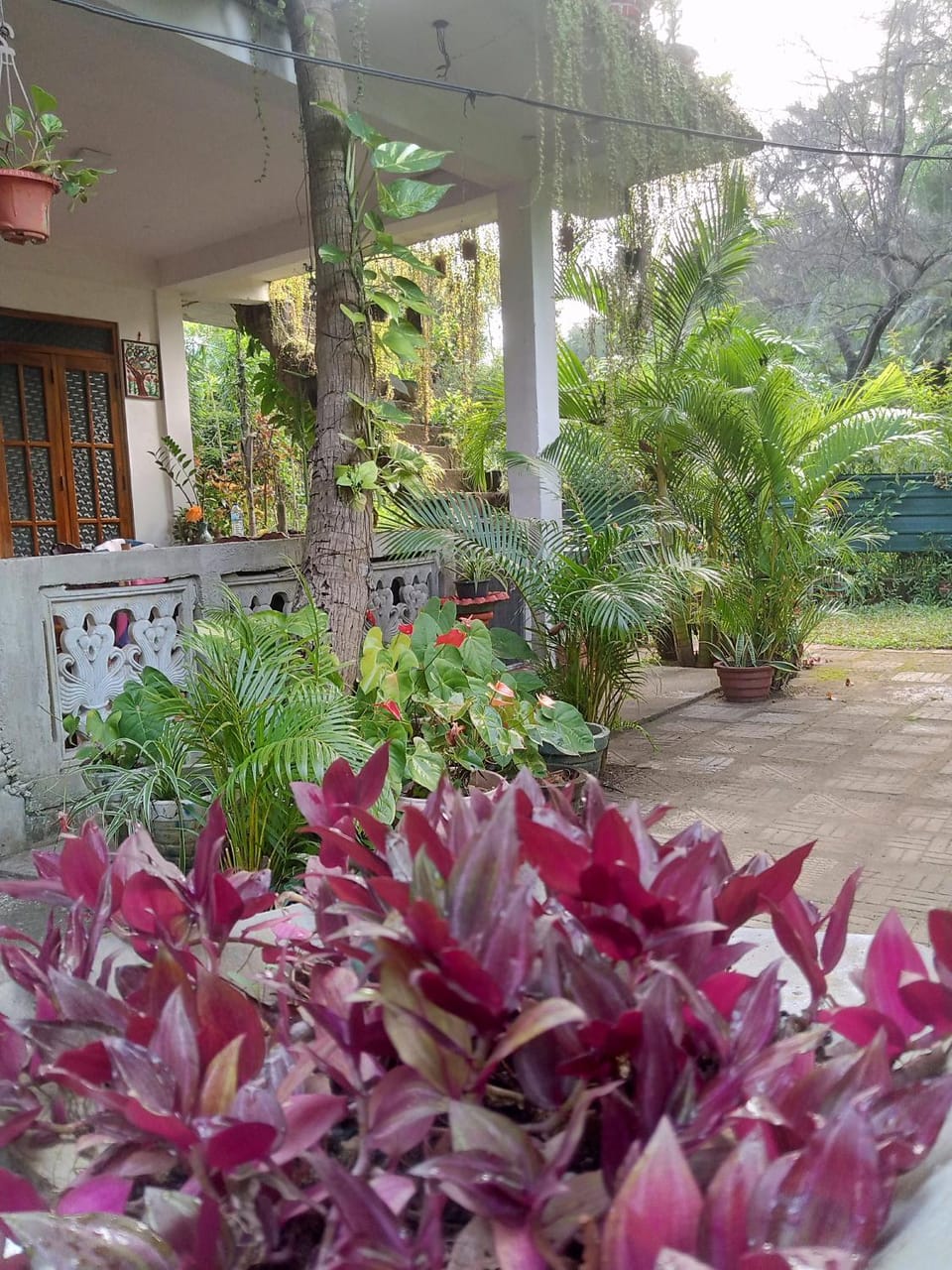 Garden view