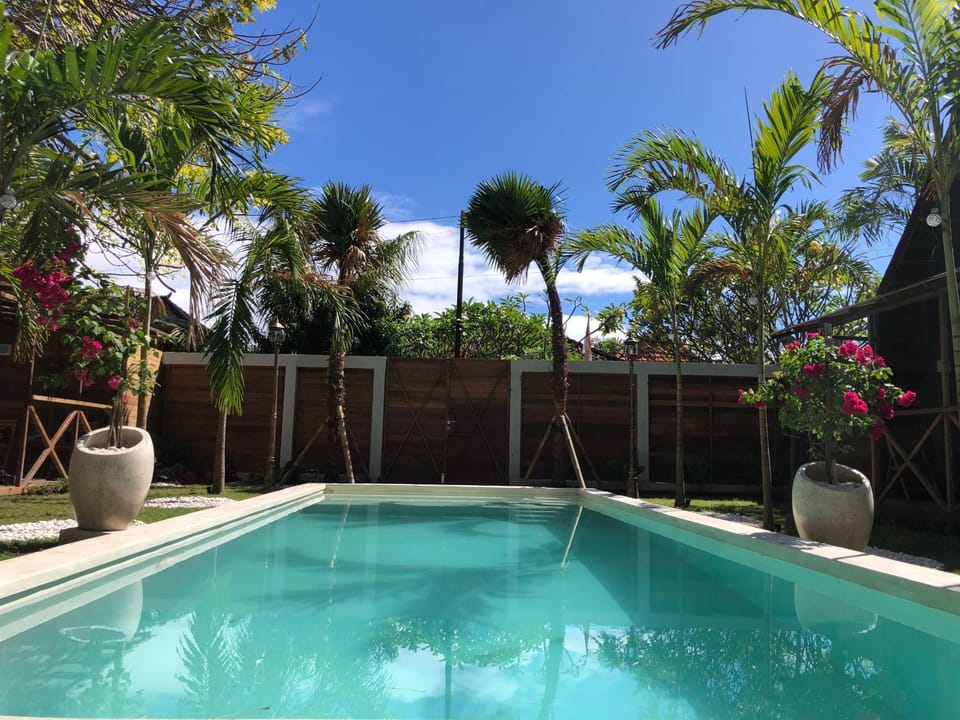 Day, Garden, Garden view, Pool view, Swimming pool