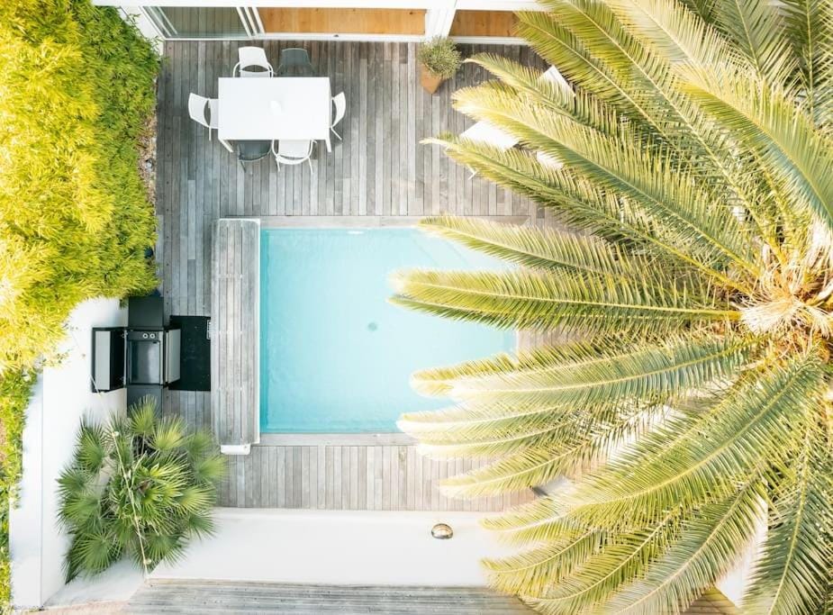 Garden, Garden view, Pool view, Swimming pool, sunbed