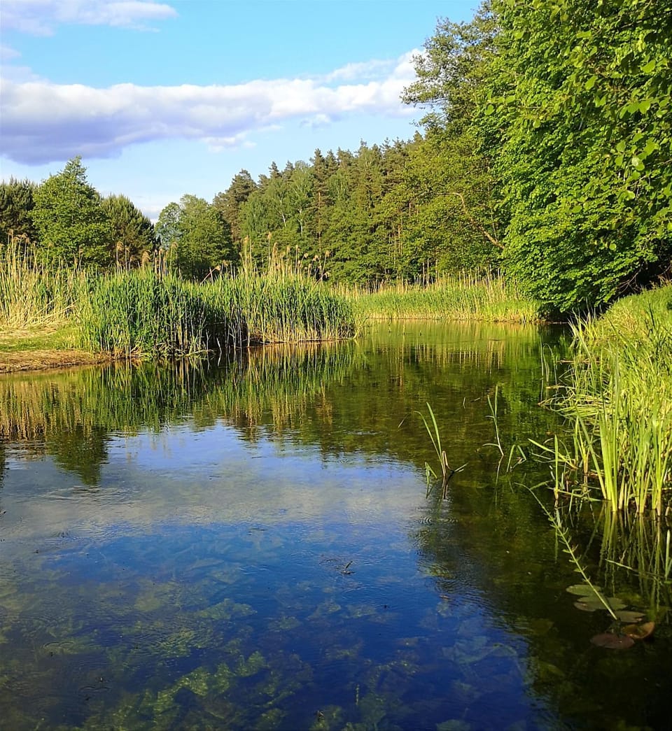 Natural landscape, River view