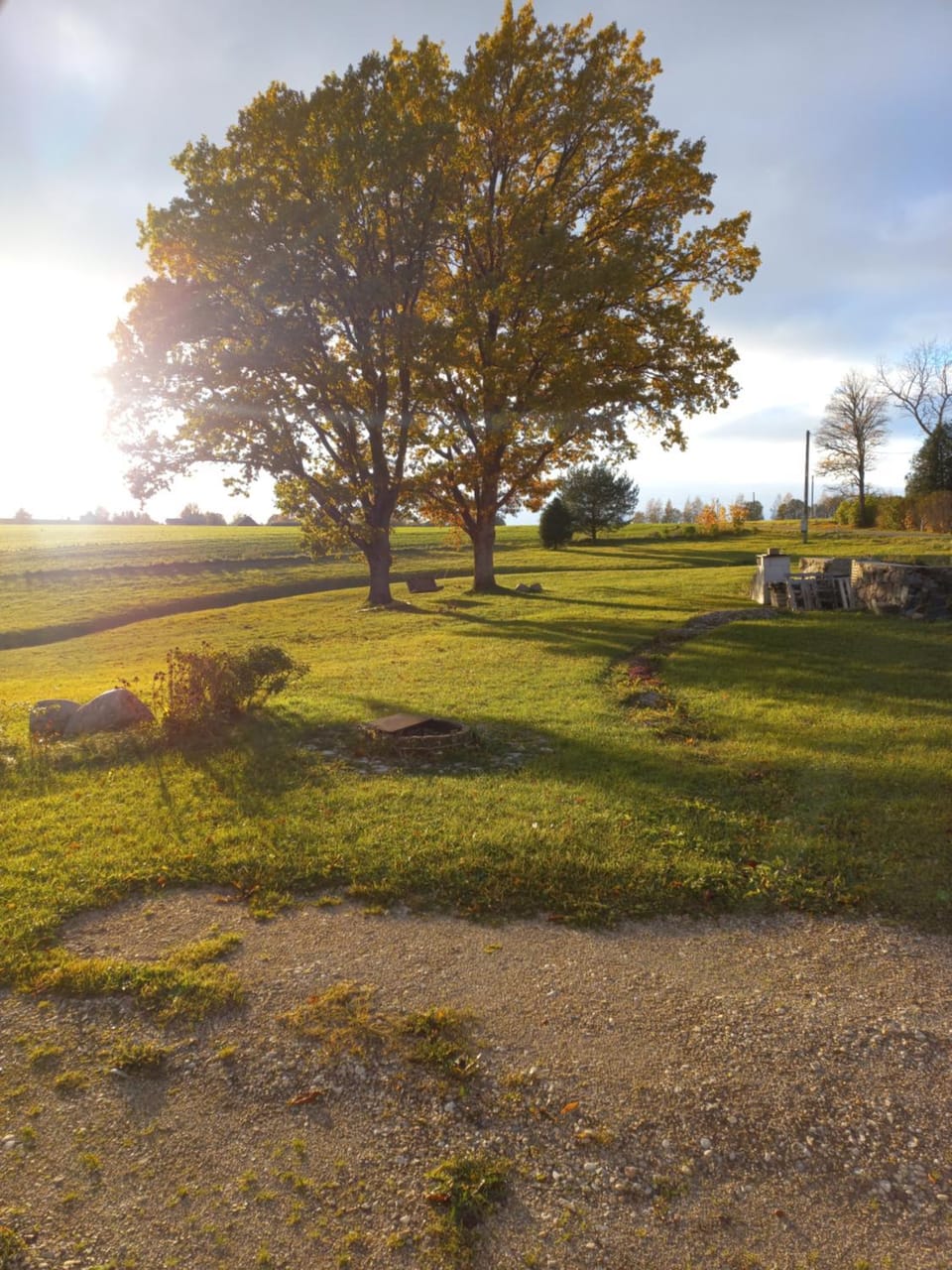 Day, Natural landscape, Garden view