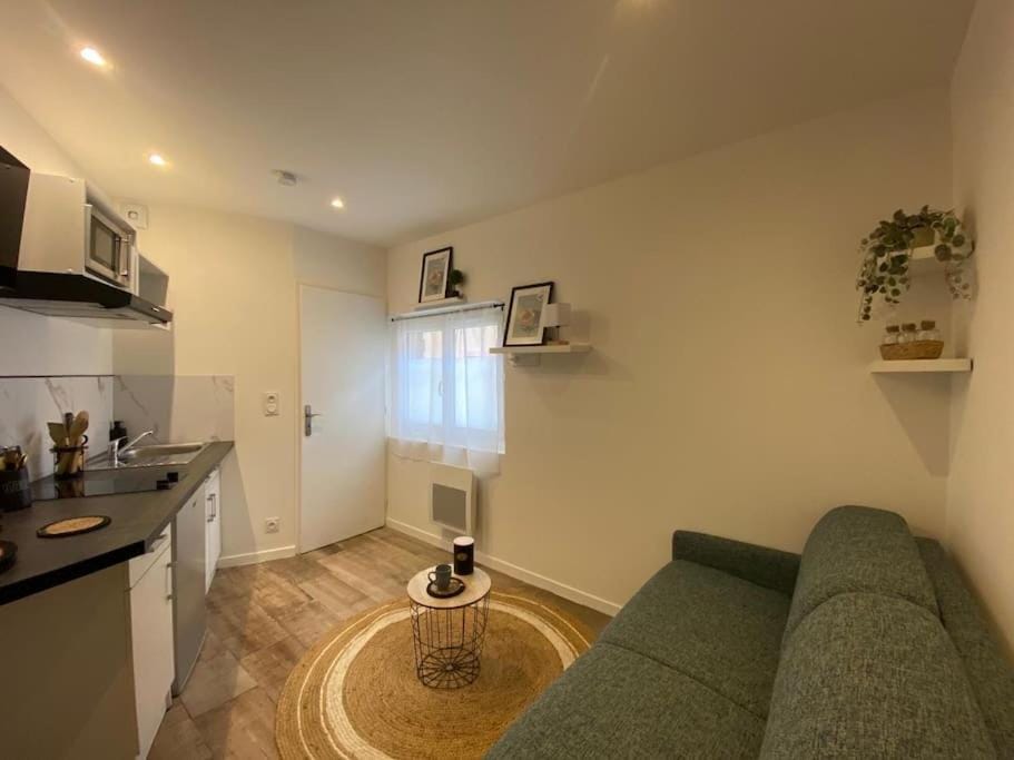 Le Pti'toulousain 9 - Studio Centre Apartment in Toulouse