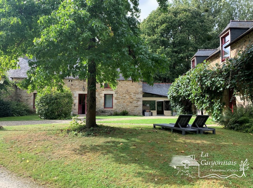 Property building, Garden, Garden view