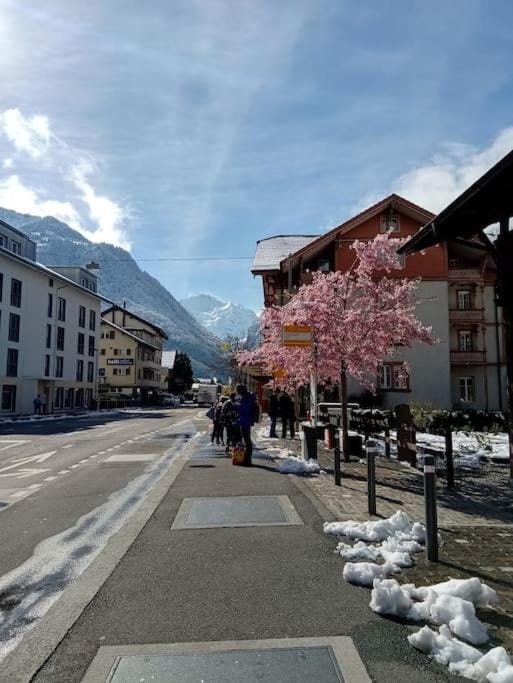 Spring, Neighbourhood, Mountain view, Street view
