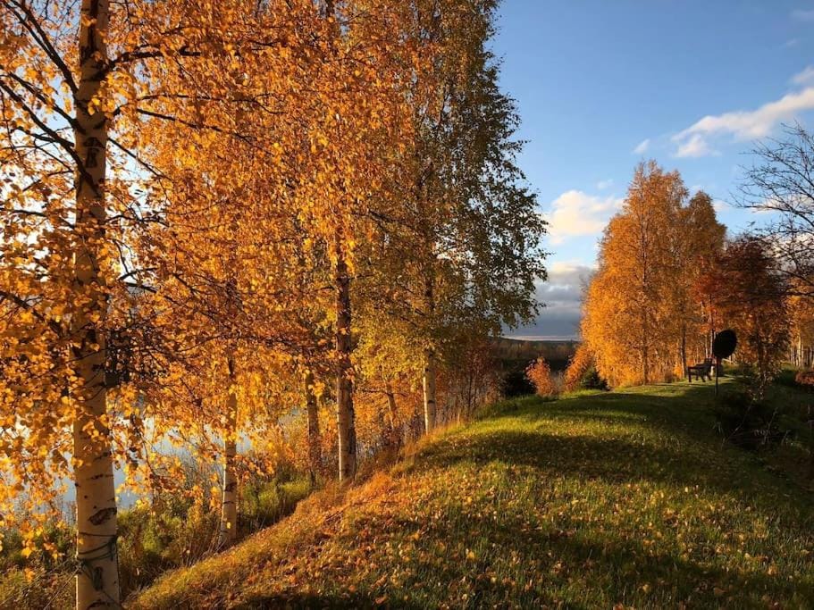Studio by the river Ivalo Apartment in Lapland
