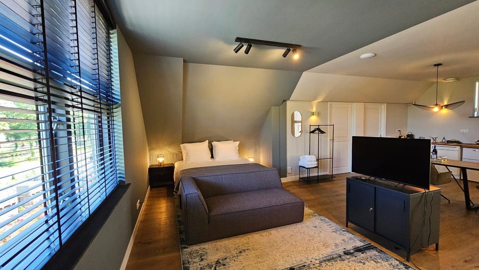 Bed, TV and multimedia, Living room, Seating area, Bedroom