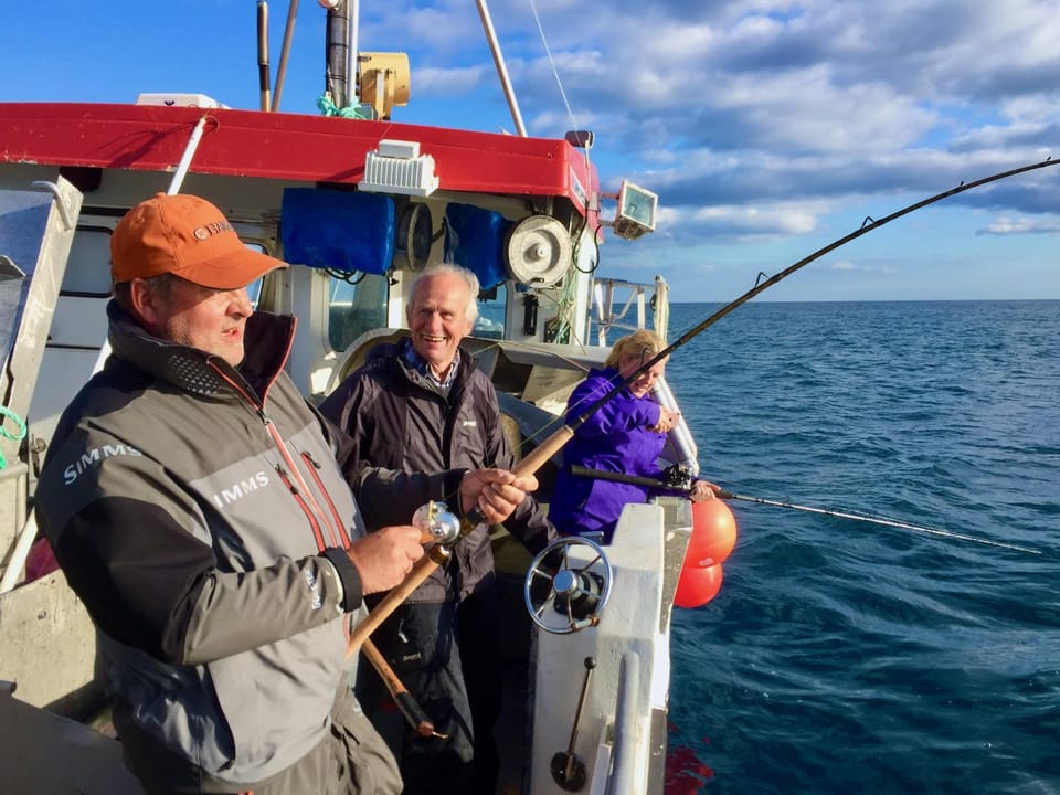 Natural landscape, Activities, group of guests