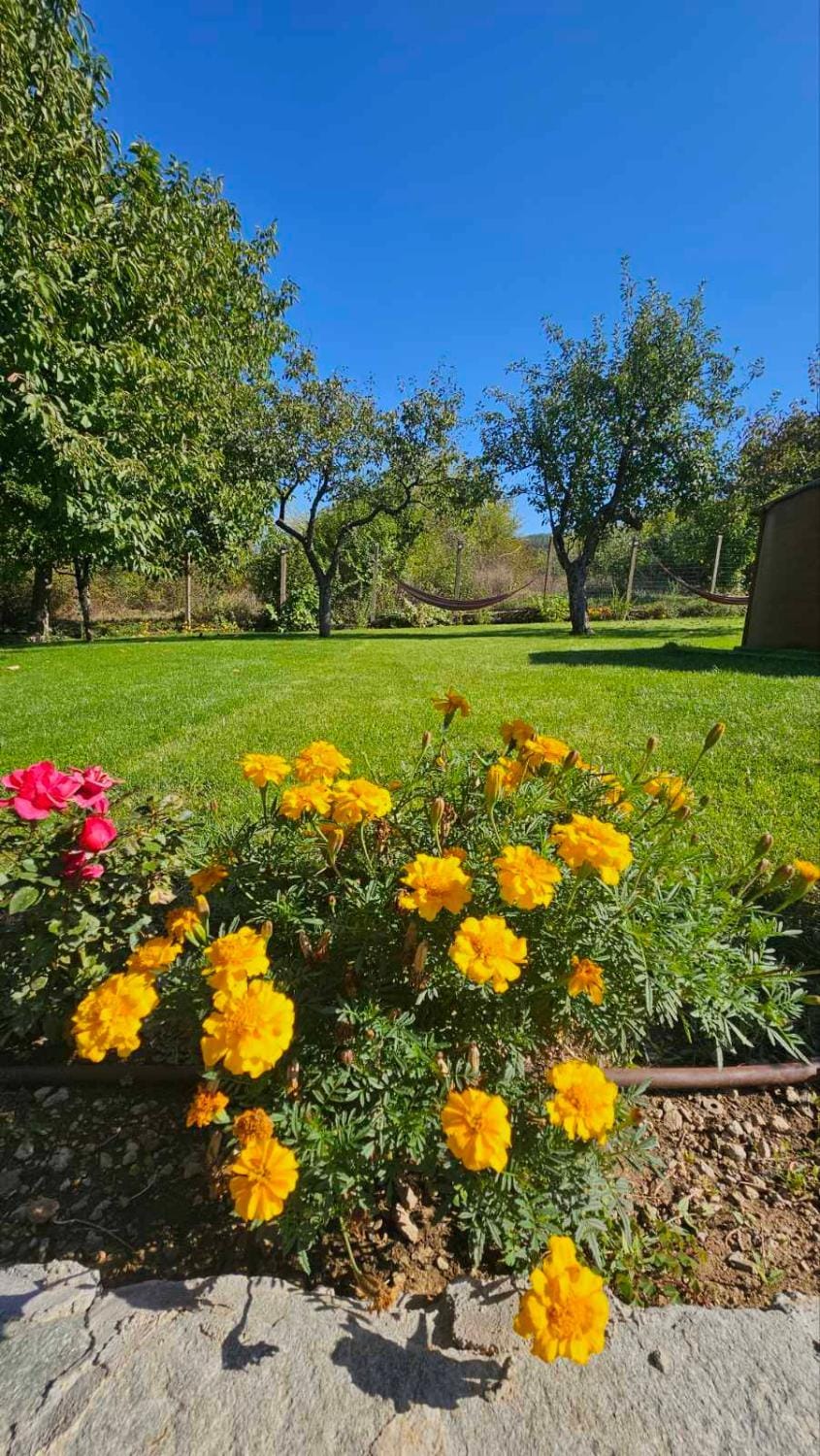Вила Доброво Villa in Blagoevgrad Province