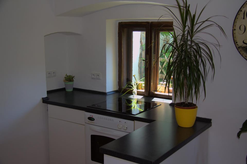 Kitchen or kitchenette, stove
