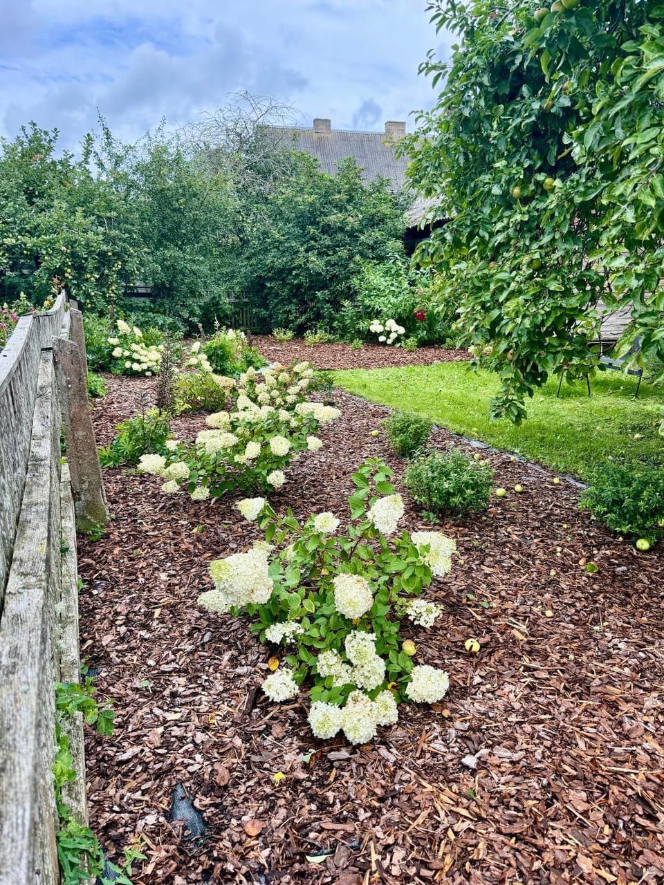 Day, Garden