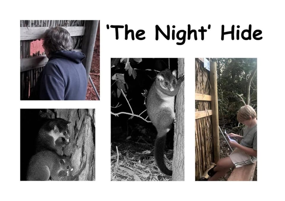 Night, Activities, View (from property/room), Animals, On site